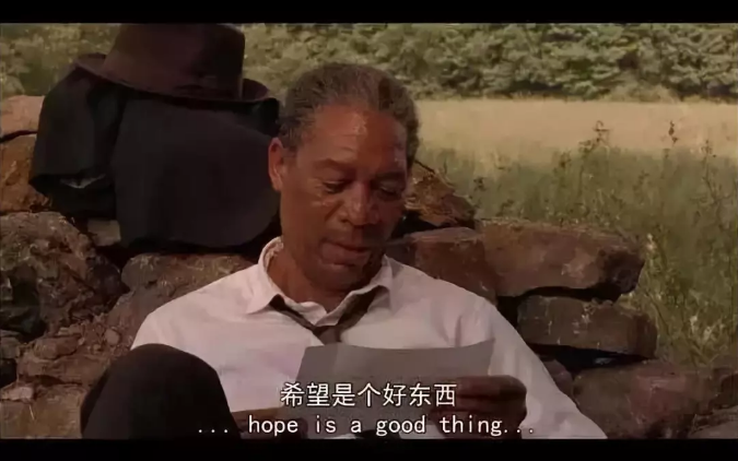 张鹏国:一个CEO的精神分裂史
