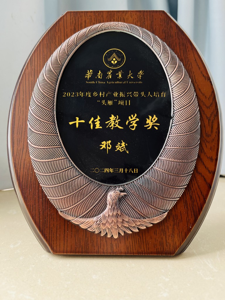 dengbin_touyuan