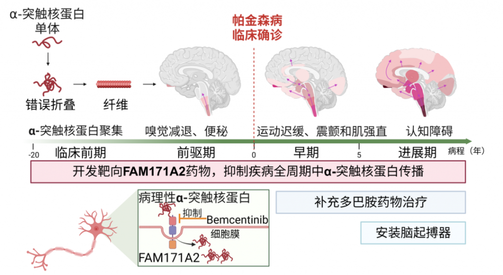 2026-02-03_101658_020