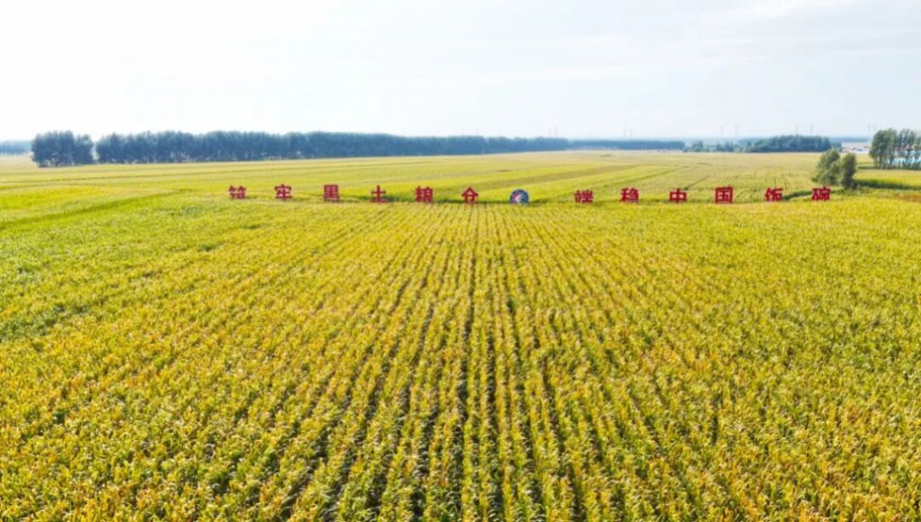 2026-02-03_101720_434