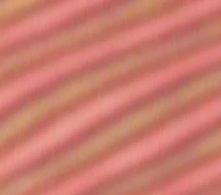 2026-02-03_101840_493