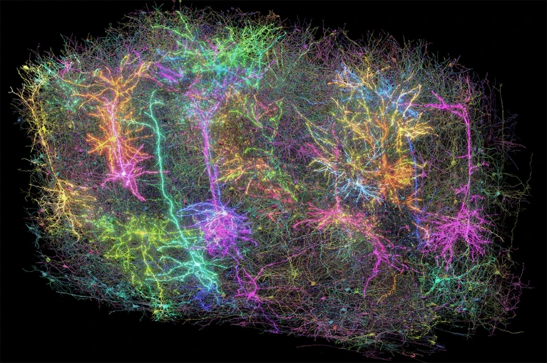 2026-02-03_101911_963